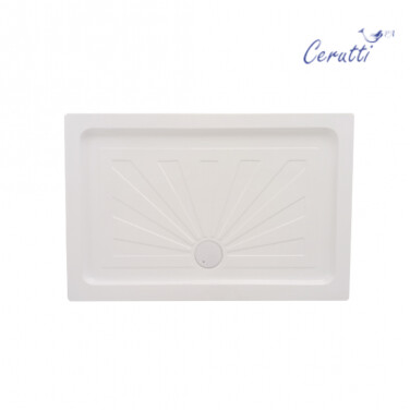 Ceruttispa QR121