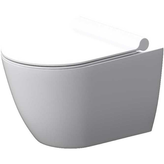 Damixa Apollo DX22C1700SC подвесной с сиденьем Микролифт