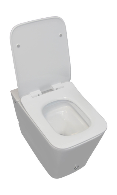 Ceruttispa Disgrazia Pulse CT7269 с функцией импульсного смыва