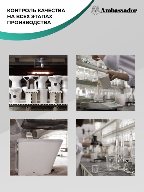 Ambassador Ritz 233K19003RS (530*360*350) подвесной безободковый, 2 места